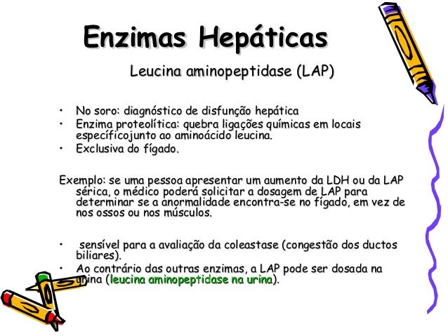 leucina aminopeptidasa